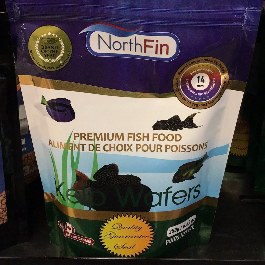 NorthFin