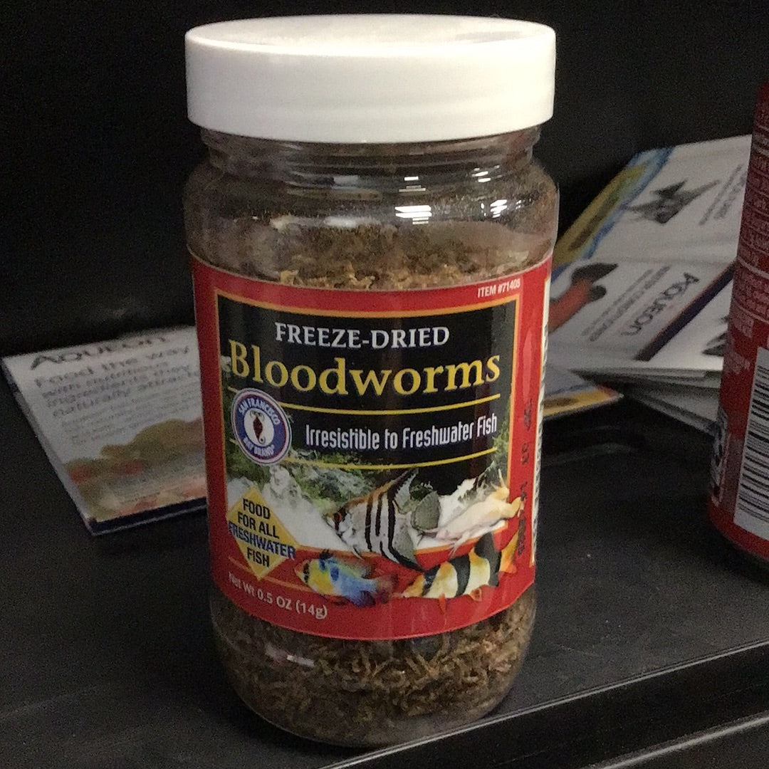 Freeze-Dried Bloodworms