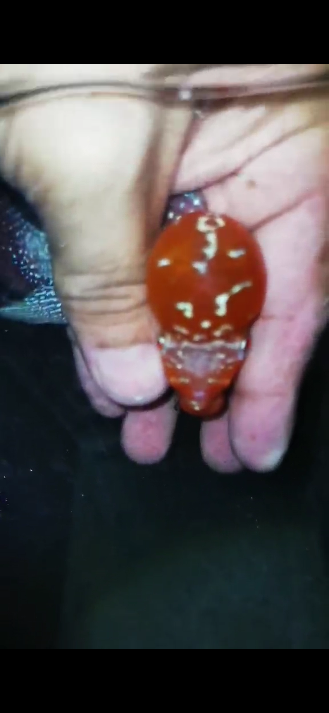 Super Red Dragon Flowerhorn ( Male ) - #35