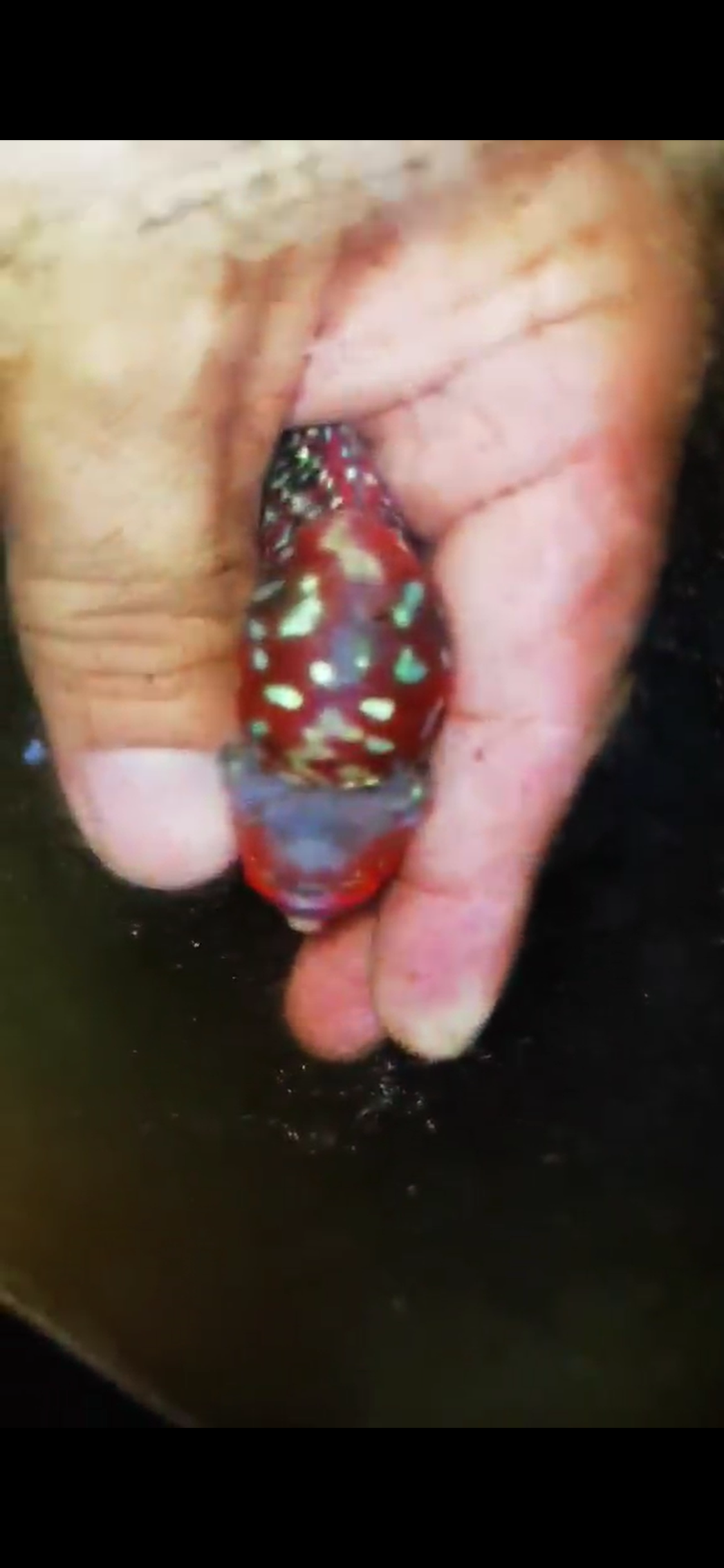 Super Red Dragon Flowerhorn ( Male ) #36