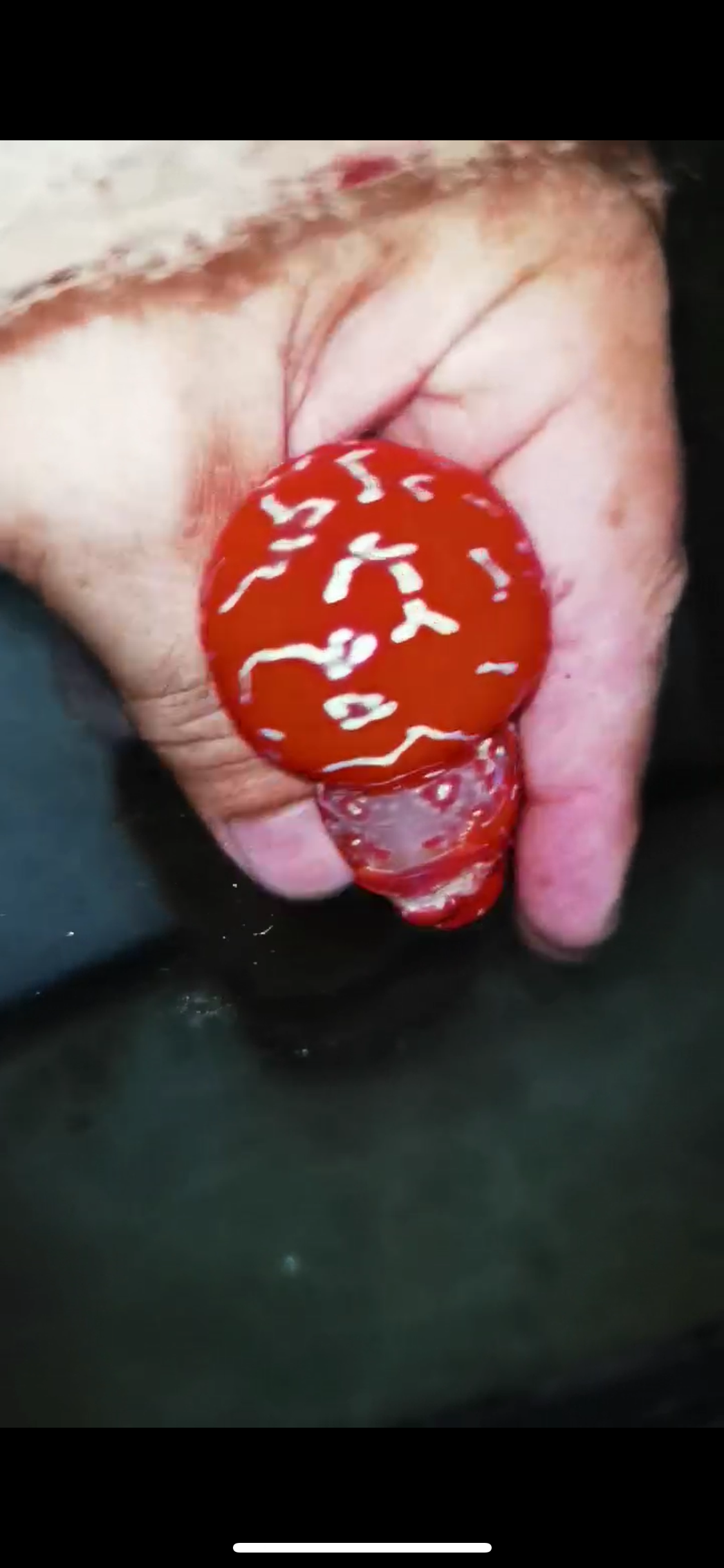 Super Red Dragon Flowerhorn Male #13