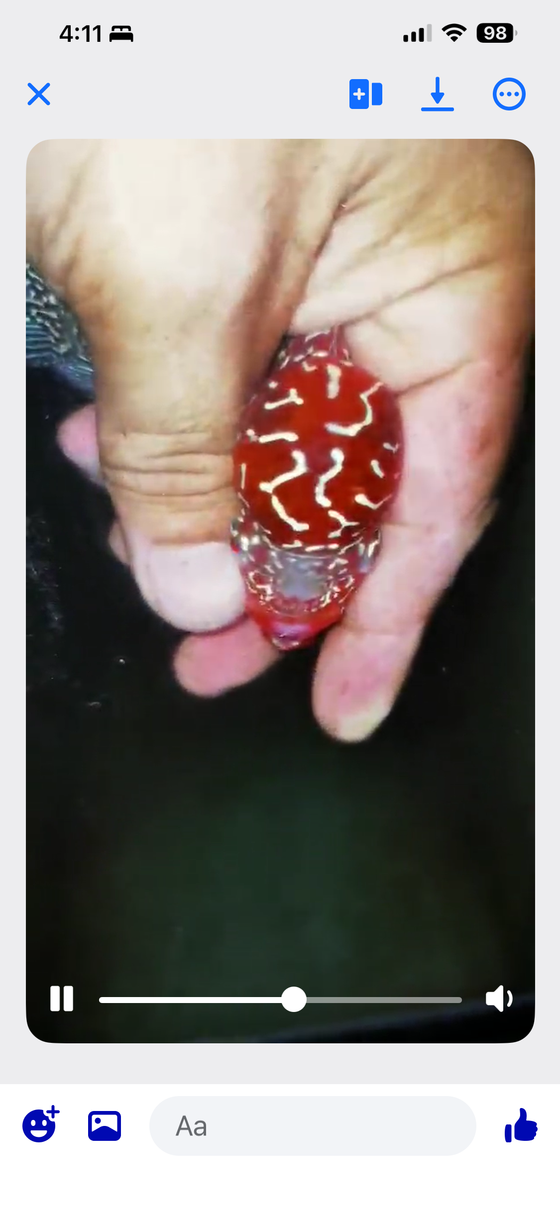 HQ Super Red Dragon Flowerhorn ( Male ) #15
