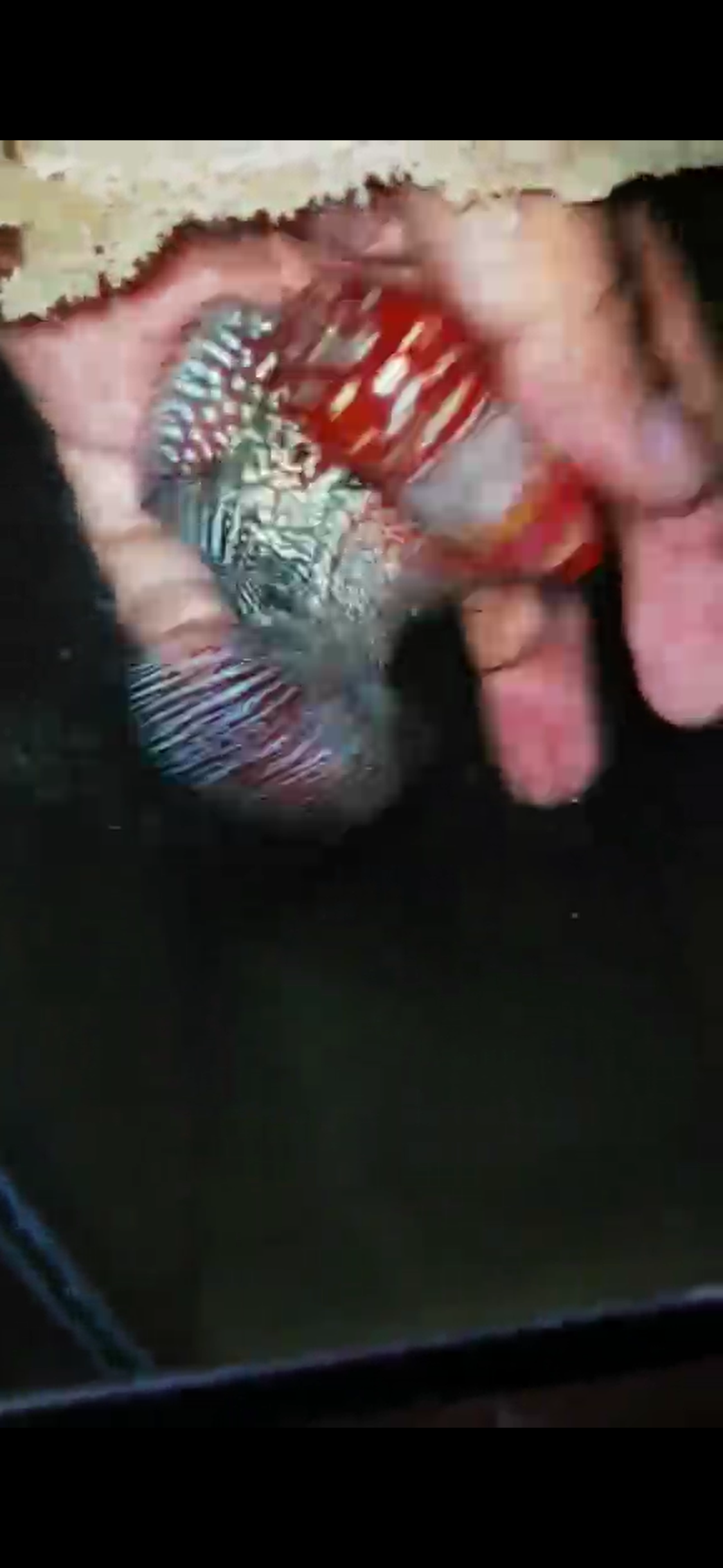HQ Super Red Dragon Flowerhorn ( Male ) #02
