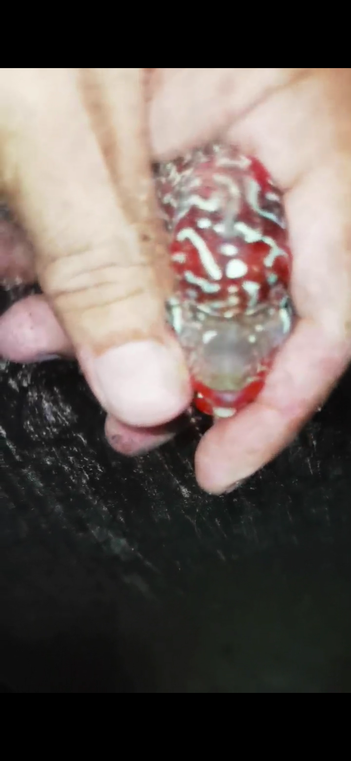 HQ Super Red Dragon Flowerhorn ( Male) - #19
