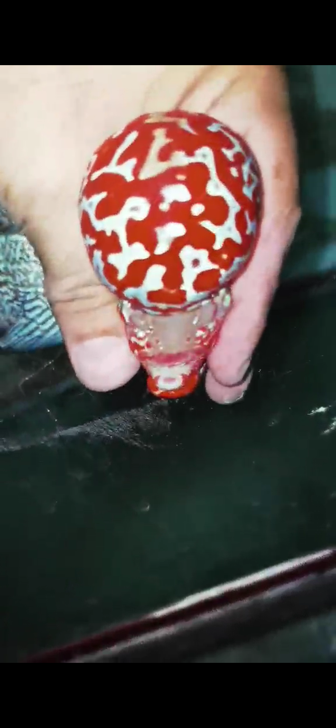 Comp Grade Super Red Dragon #304
