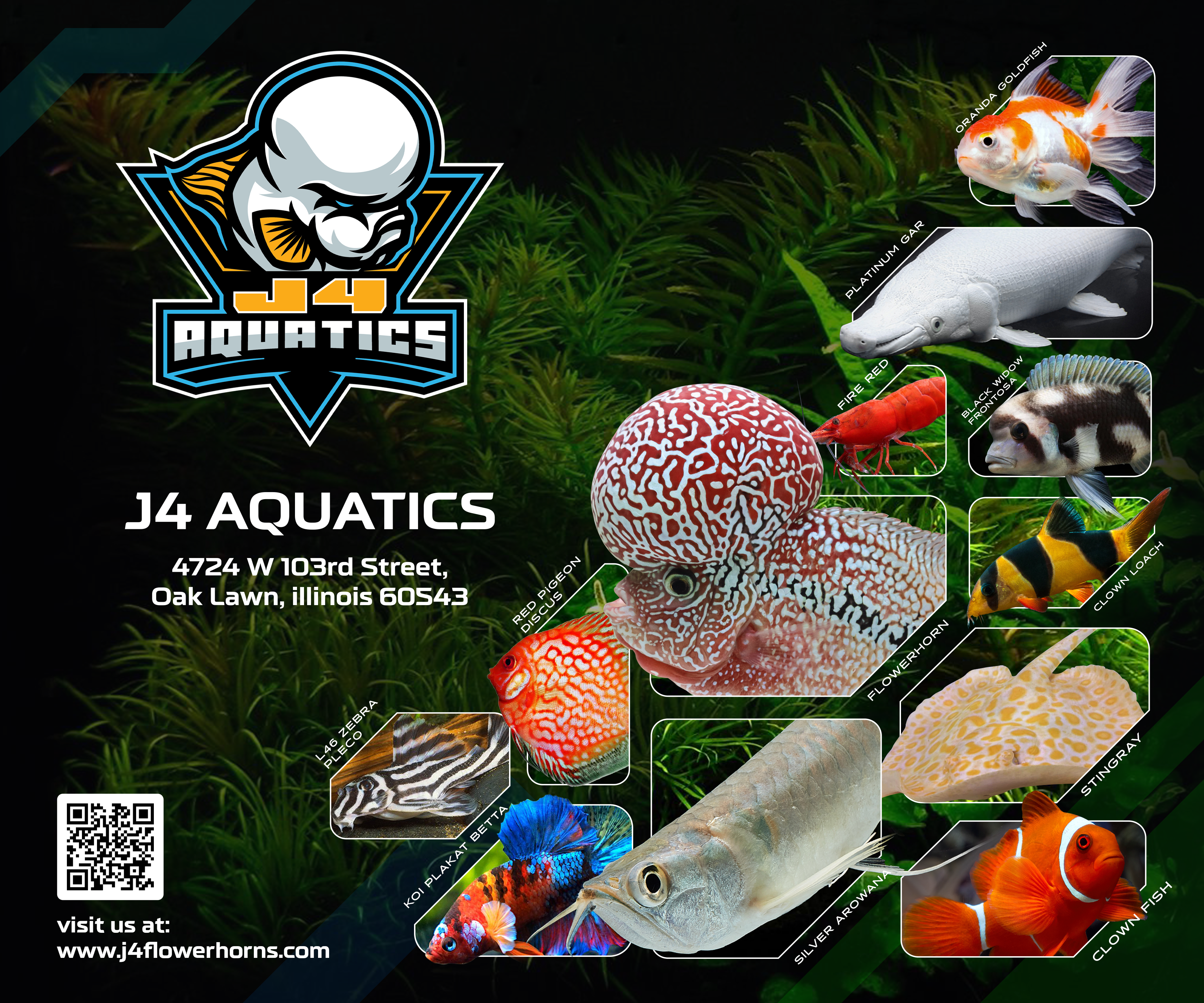 J4 aquatics J4 aquatics