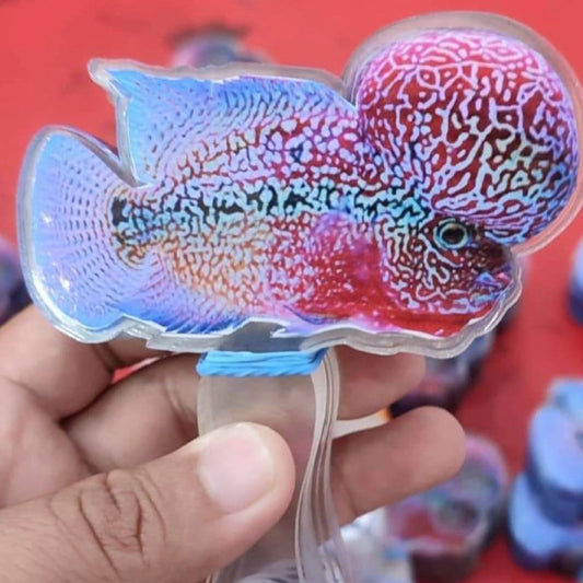 Flowerhorn Grooming Tool