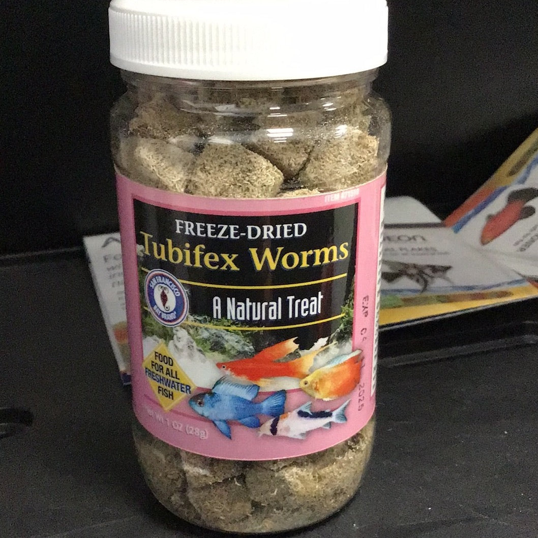 Freeze-Dried Tubifex Worm