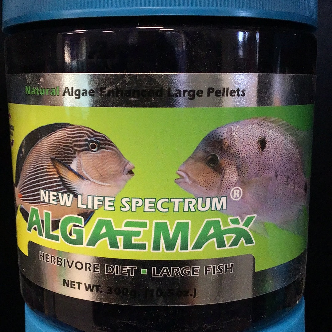 New Life Spectrum